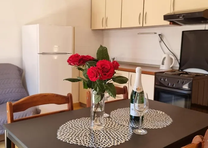 Lägenhet Nika Bibinje