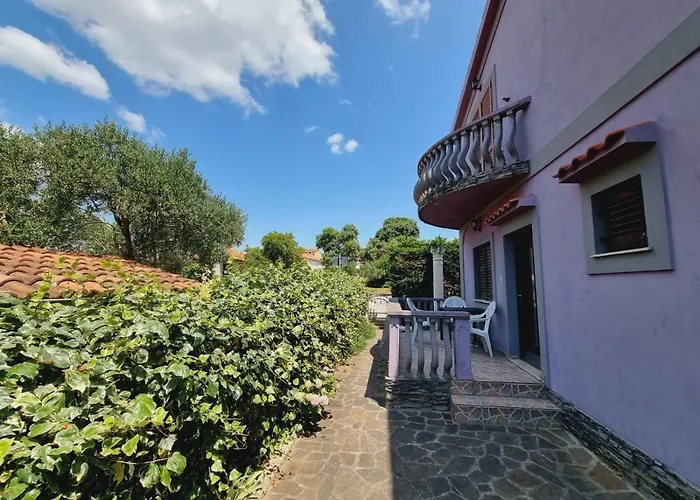 Nika Apartman Bibinje